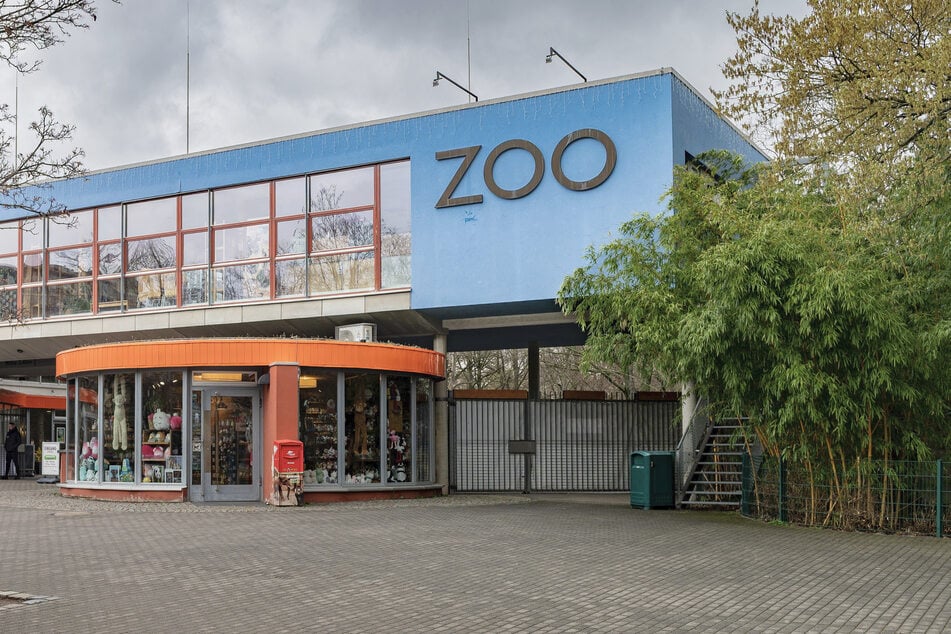 Die Tierpfleger im Zoo Dresden versorgen jeden Tag die Bewohner.