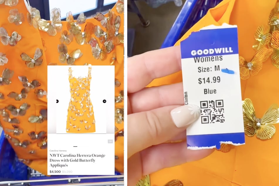 Das Schmetterlingskleid der Designerin Carolina Herrera wurde im "Goodwill"-Geschäft für 14,99 Dollar verkauft. Neu muss man dafür 4900 US-Dollar blechen.