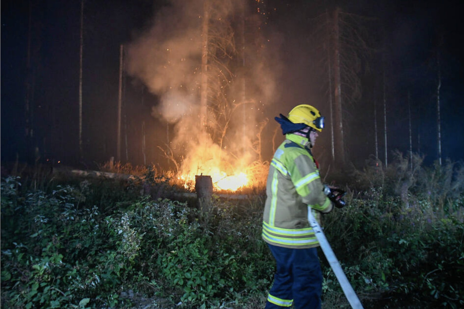 Mitte August war ein großflächiger Brand am Brocken ausgebrochen und hatte die Feuerwehrleute tagelang im Atem gehalten.