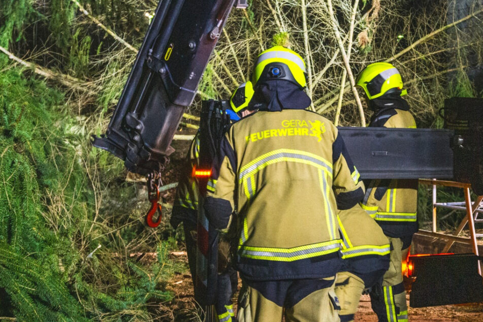 Tragischer Todesfall in Gera: Mann unter tonnenschwerem Baum geborgen