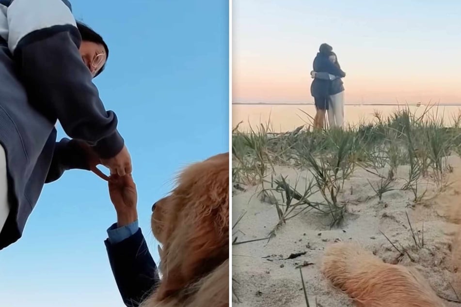 The cinematic result that Murphy the dog delivered in the end took the bride-to-be's breath away.