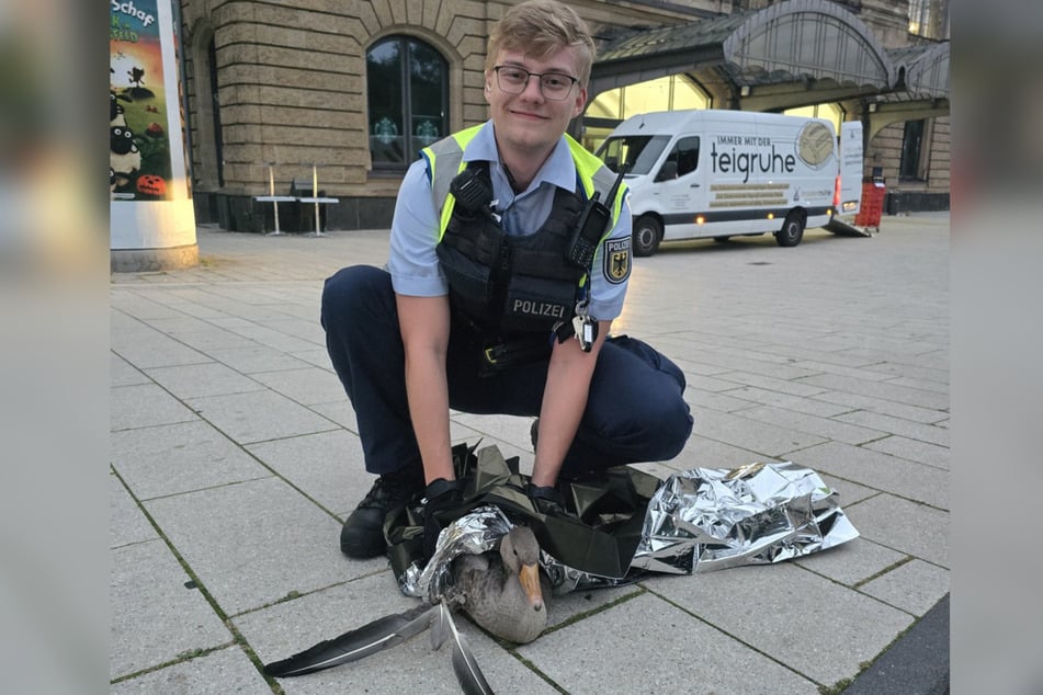 Die gerettete Gans wurde dem Tierheim übergeben.