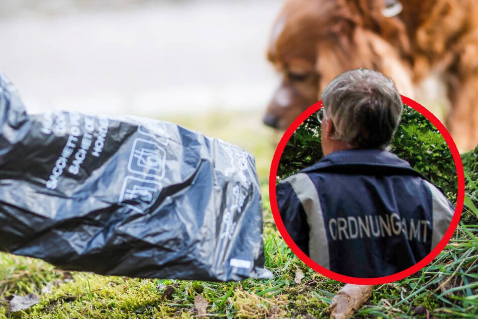 Berlin: Haufenweise Kontrollen: Berlin sagt faulen Hundebesitzern den Kampf an