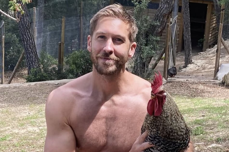 DJ Calvin Harris erschüttert: Geliebter Hahn brutal getötet
