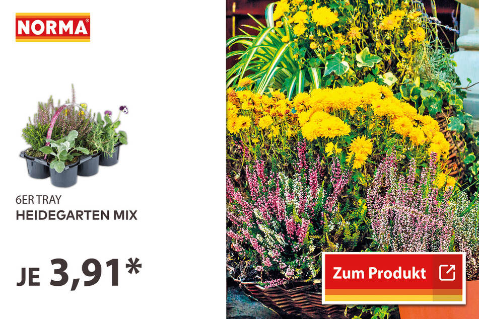 Heidegarten Mix für 3,91 Euro.