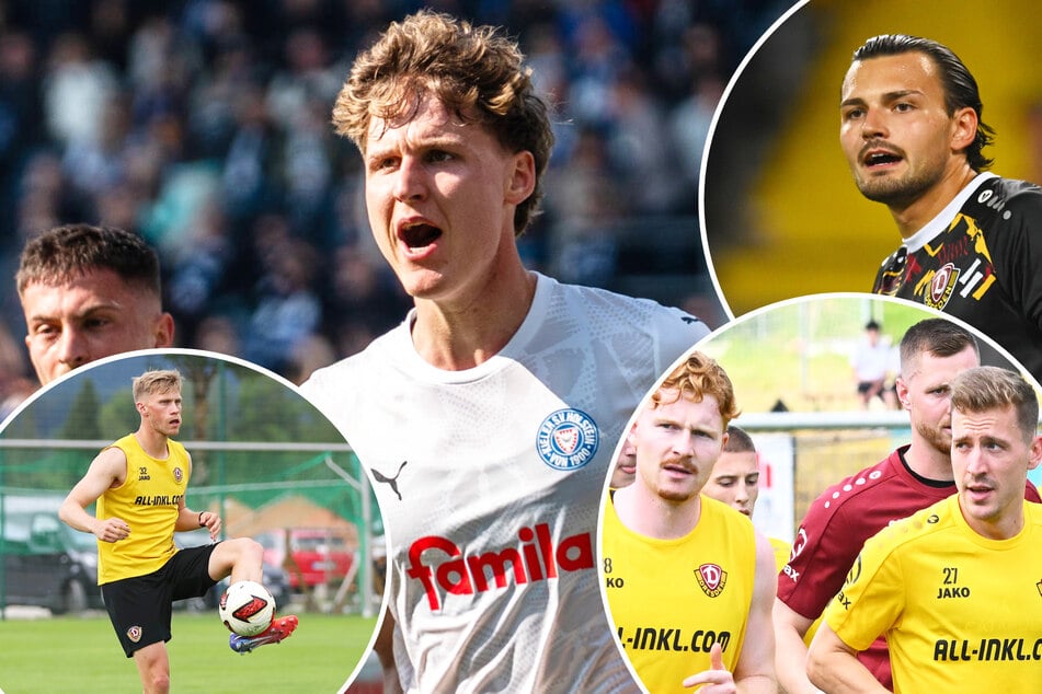 Phil Harres (l.) bekam bei Dynamo nie eine wirkliche Chance, ist in Kiel Leistungsträger. Tim Schreiber (o.r.) stand schon an der Küste zwischen den Pfosten, auch Robert Wagner und Niklas Hauptmann (u.r.) sowie Jonas Sterner (u.l.) liefen für Kiel auf.