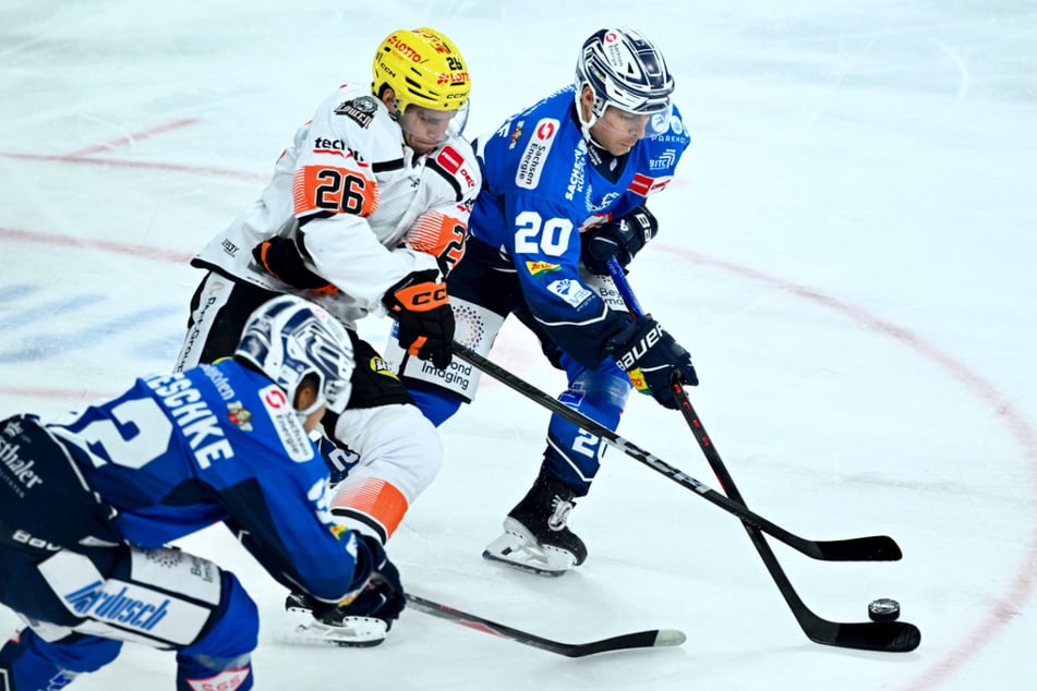 Die Dresdner Eislöwen bringen die JOYNEXT Arena zum Beben und verbinden Fans und Heimatstadt.