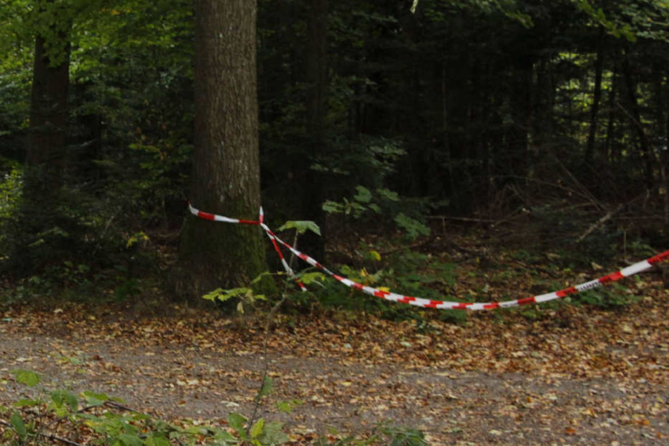 An diesem Waldstück fand man wohl die Leiche des Jägers.