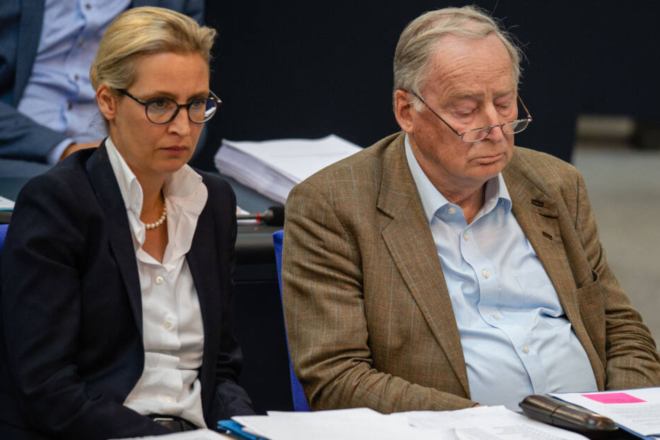 Alice Weidel (l.) und Alexander Gauland (r.) vertreten die AfD als Führungs-Duo im Bundestag.