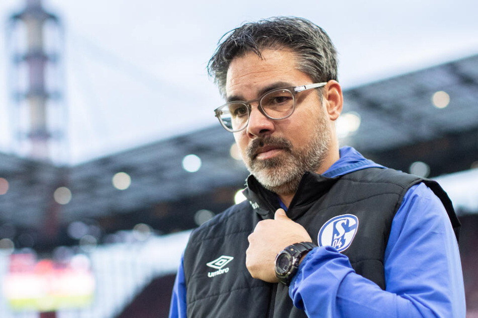 Schwere Nummer derzeit: Schalke-Coach David Wagner (48) hat momentan alle Hände voll zu tun.