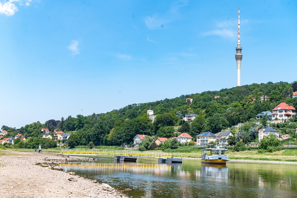 Die Stadtverwaltung soll mögliche Brücken-Standorte östlich der Waldschlößchenbrücke (bis zur Stadtgrenze) prüfen.
