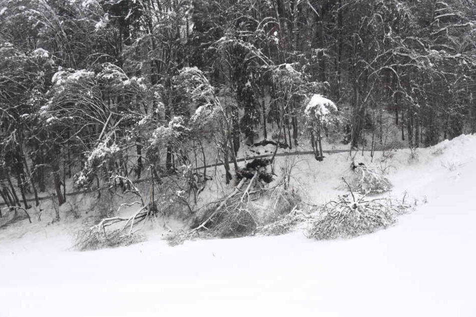Die Lawinengefahr ist in der Alpenregion weiter hoch: Gerade wenn es taut werden die Schneemassen zu Gefahr. (Symbolbild)