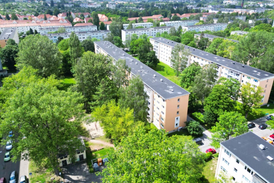 Entdeckt die modernen Wohnungen in der Arthur-Strobel-Str. 64-78 und treten von der ruhigen Straße in die Wohlfühloasen der CAWG.