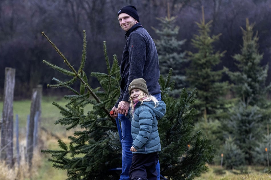 Elea (6) freut sich, mit ihrem Papa Stefan Röder (37) auf der Plantage von Familie Grambole den perfekten Baum gefunden zu haben.