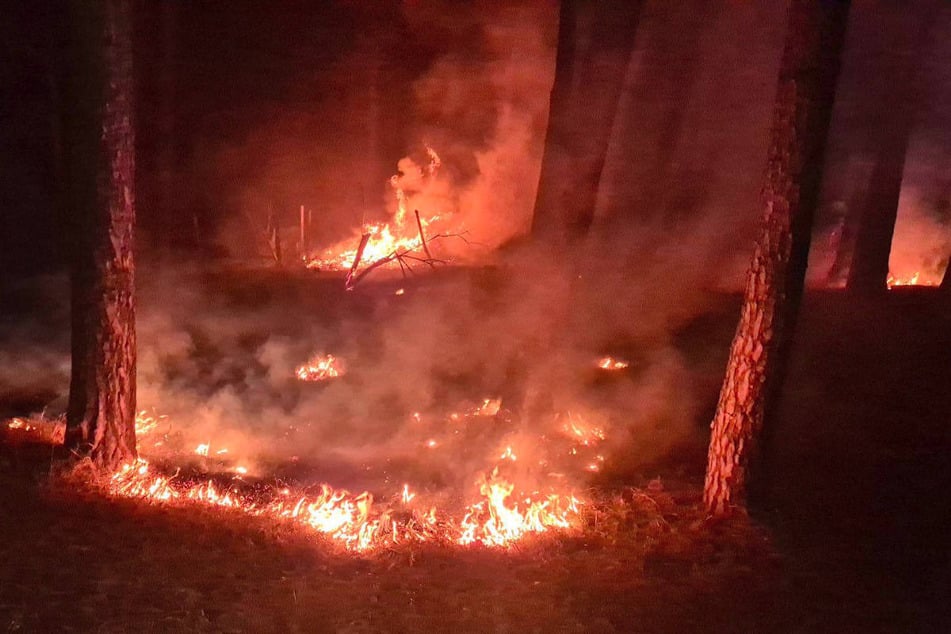 Am späten Dienstagabend hat der Waldboden in der Nähe vom Kloster Lehnin gebrannt.