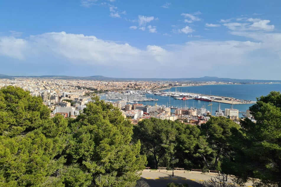 Blick auf Mallorca: Auch für Malle-Fans eignet sich der Sprachführer.