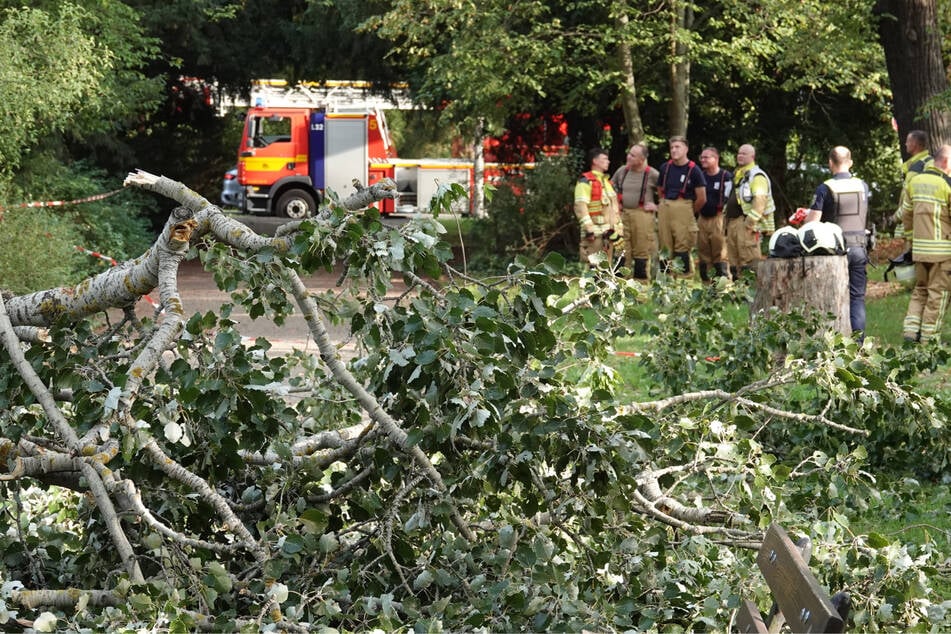 Die Feuerwehr durchsuchte das Geäst nach möglichen weiteren Verletzten.