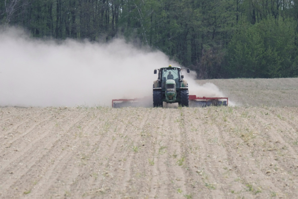 Staubtrocken: Werden Sachsens Felder gepflügt oder nur noch abgestaubt? Landwirte fahren wegen der anhaltenden Trockenheit Verluste ein.