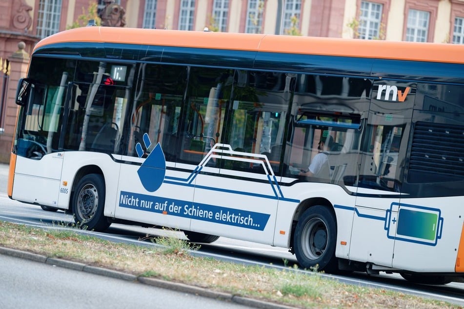 In Mannheim sind batterieelektrische Linienbusse des Typs E-Citaro unterwegs.