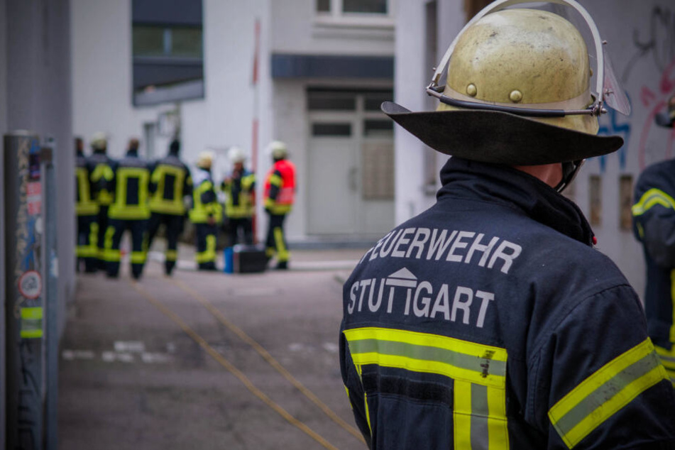 Das Feuer brach am Morgen aus.