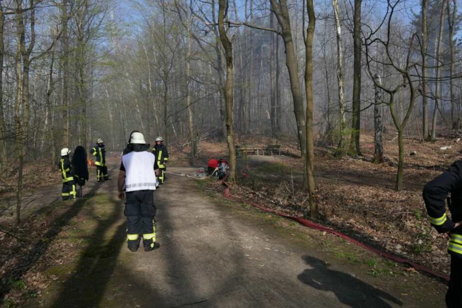 In der Nähe von Bad Lausick ist es am Donnerstag zu einem Waldbrand gekommen.