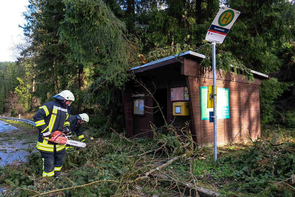 Mehrere Äste beschädigten eine kleine Bushaltestelle.