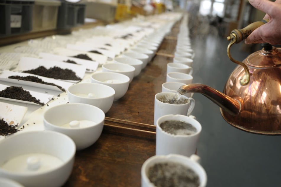 Liebhaber von Darjeeling-Tee werden womöglich eine Zeit lang auf das erlesene Getränk verzichten müssen. Die Plantagen in der nordostindischen Region Darjeeling überwuchern, weil die Pflücker streiken.