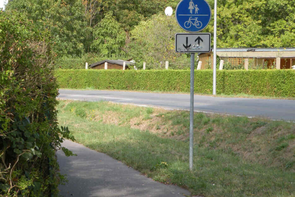 Der Radweg an der Stötteritzer Landstraße.