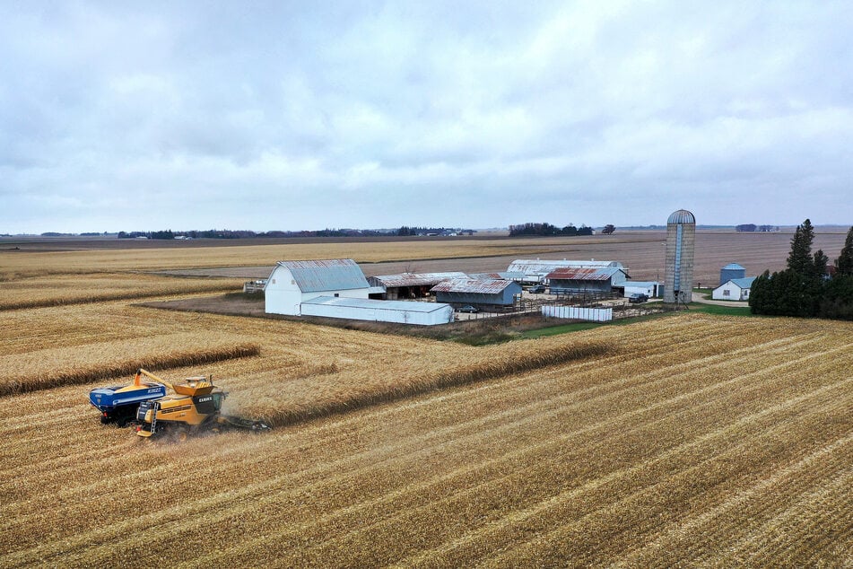 An aerial view shows farmers harvesting corn in a field on October 31, 2023 near Osage, Iowa.