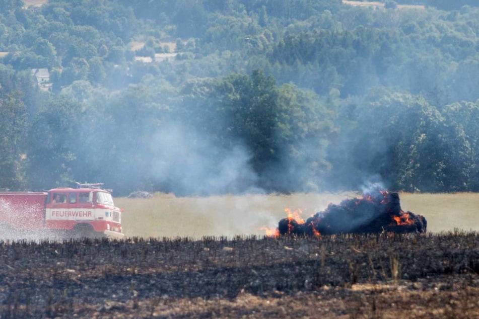 Feldbrand in Mittelsachsen: Feuer weitet sich auf Wald aus