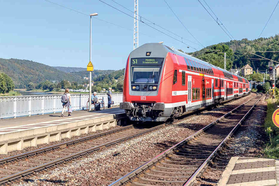 Die S-Bahn erfreut sich im Großraum Dresden immer größerer Beliebtheit. Zusätzliche Züge sollen den Ansturm bewältigen.