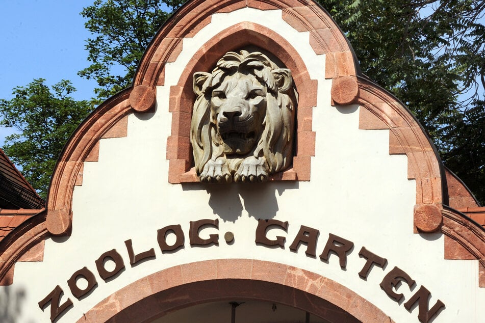 Aufgrund geringer Löhne und unfreiwilliger Teilzeit hätten es die Zoo-Mitarbeiter zunehmend schwer, ihre Lebenshaltungskosten zu zahlen. (Archivbild)