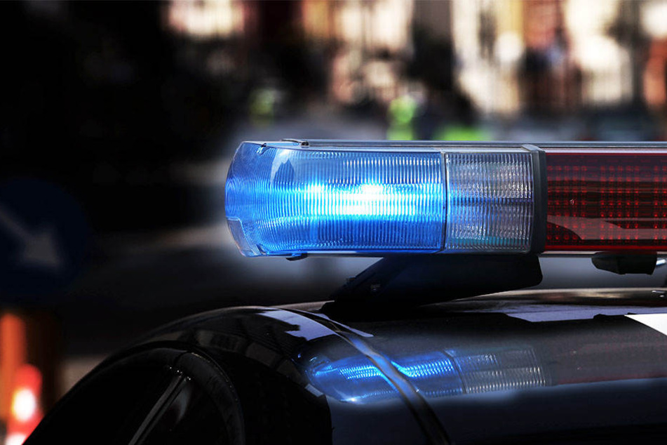 Noch bevor die Täter fliehen konnten, wurden sie von der Polizei überwältigt.