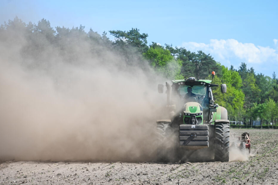 Die Arbeit vieler Landwirte in Sachsen ist derzeit vor allem eines: staubig!
