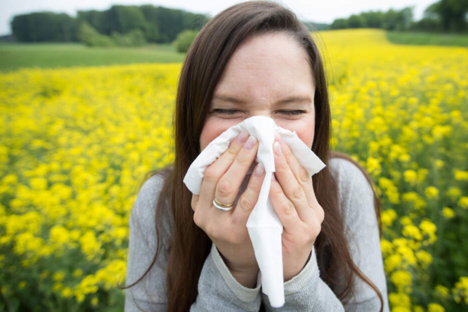 In Bayern sollen Pollenallergiker und Asthmatiker besser Infos bekommen. (Symbolbild)