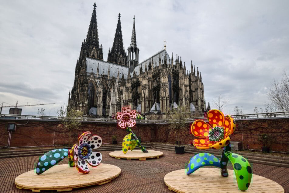 Auch in Sichtweite zum Kölner Dom sind Ausstellungsstücke platziert.