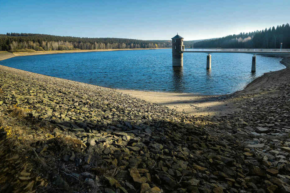 Niedrigwasser: So sah es noch im November an der Trinkwassertalsperre Cranzahl aus. Mittlerweile ist sie wieder gut gefüllt - wie die meisten Talsperren in Sachsen.
