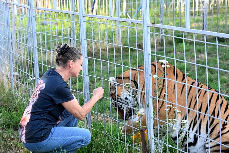 Imana ist auf dem Grundstück in der Nähe von Leipzig geboren. Ihre Mutter hatte sie nach der Geburt verstoßen, weswegen Carmen Zander sie mit der Flasche großzog.