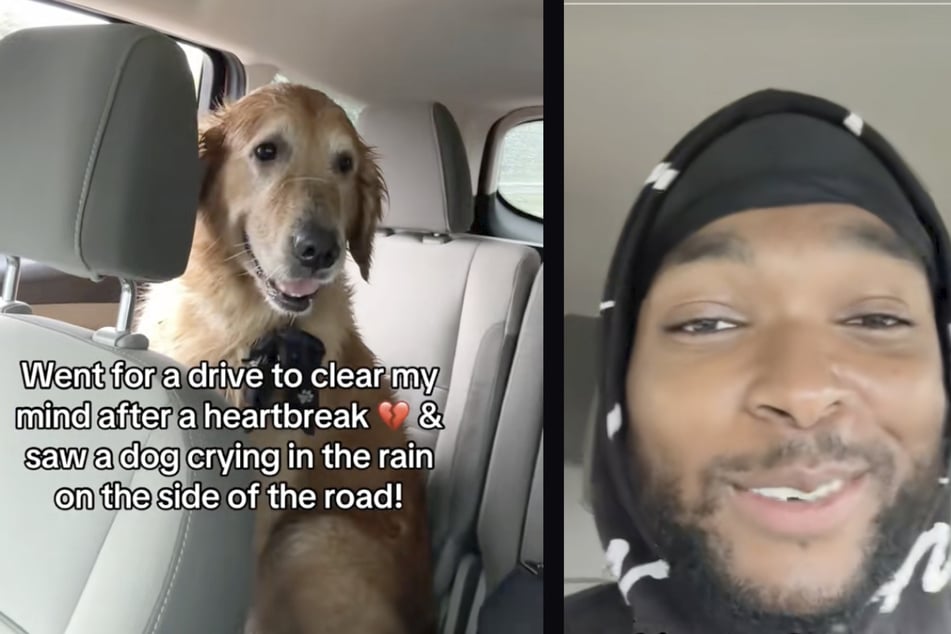 US-Amerikaner Marcellous fand aus Zufall einen entlaufenen Hund, als er sich mit einer Autofahrt von seinem Herzschmerz ablenken wollte.