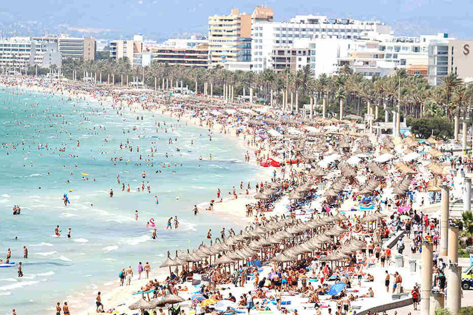 Für wenig Geld können Sachsen von der Landeshauptstadt Dresden bald ins Urlaubsparadies Mallorca fliegen.