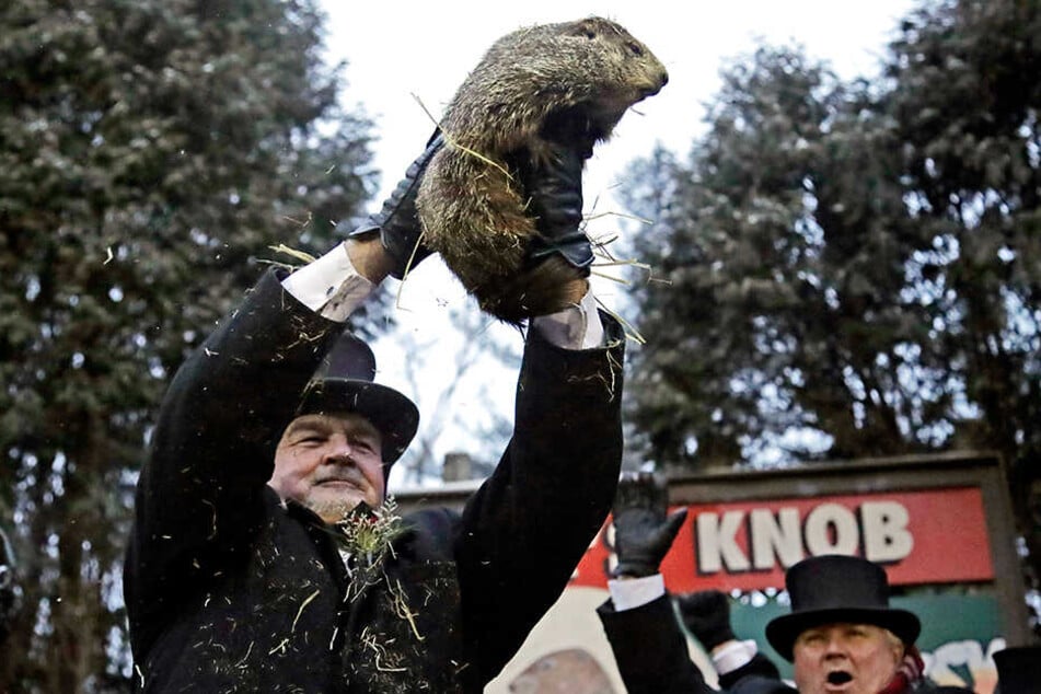 Der Co-Vorsitzende des Groundhog Club, John Griffiths (li.), hält Phil, das wetterprognostizierende Murmeltier, während des 133. Murmeltiertags hoch.