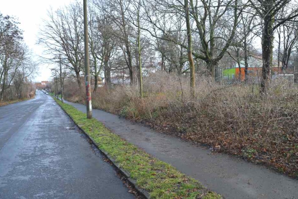 Bei ihrer Gassi-Runde hatte Silvana K. das Tier in Leipzig-Stötteritz gefunden.