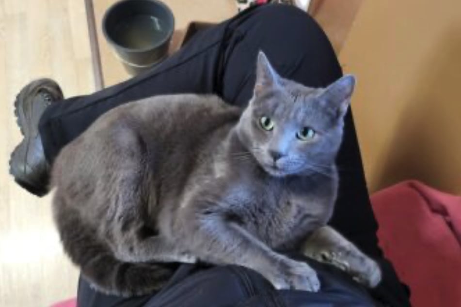 Bali genießt die Nähe zu Menschen in vollen Zügen.