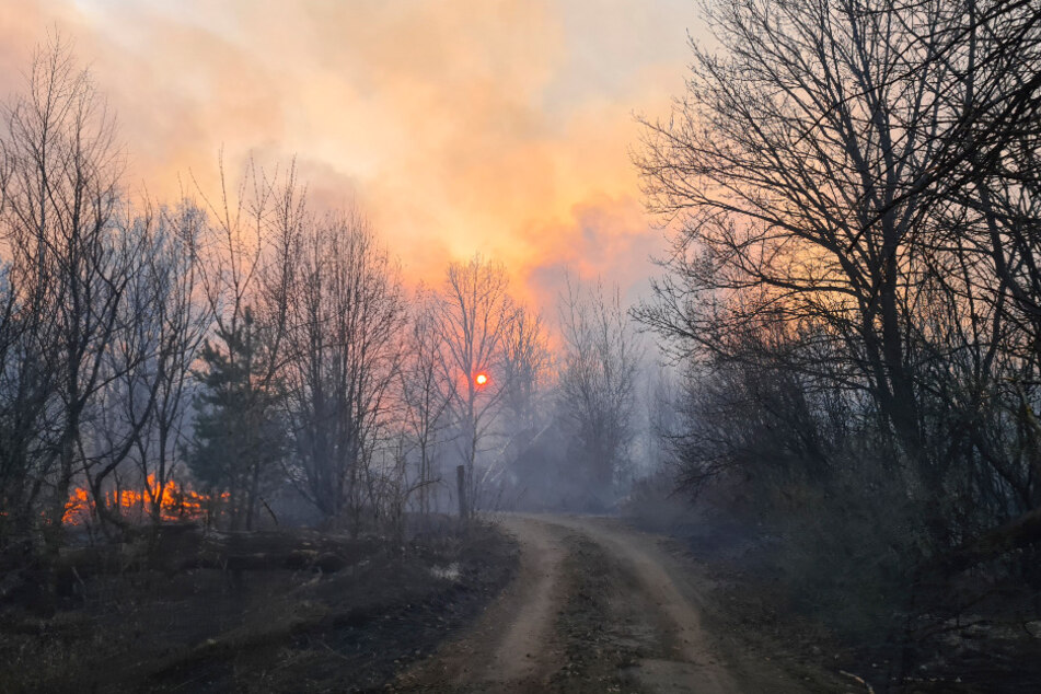 Rauchschwaden steigen von einem Waldbrand in der radioaktiv belasteten Sperrzone um das Kernkraftwerk Tschernobyl auf.