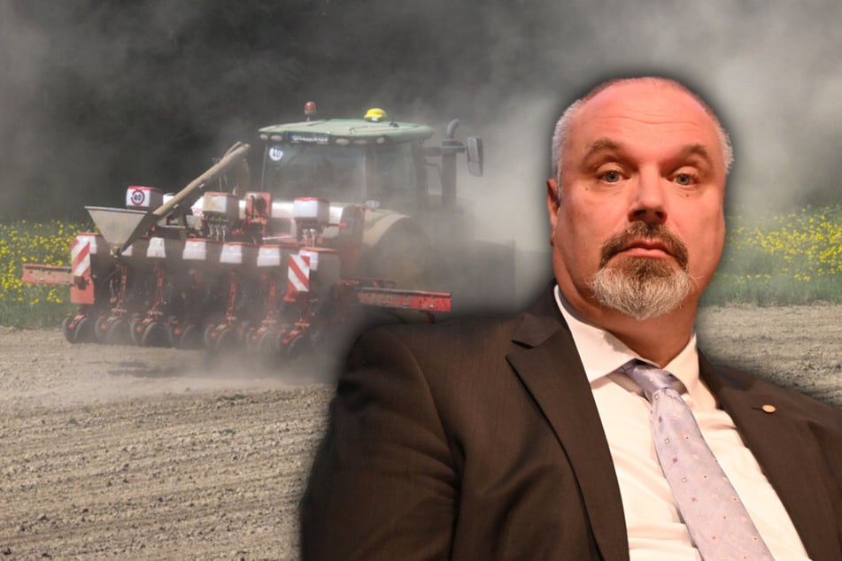 Klimawandel wirkt sich auch auf dem Feld aus: Landwirte setzen jetzt auf besondere Frucht
