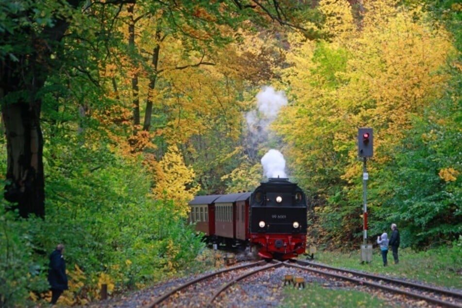 Die Harzer Schmalspurbahnen haben mit steigenden Kosten zu kämpfen.