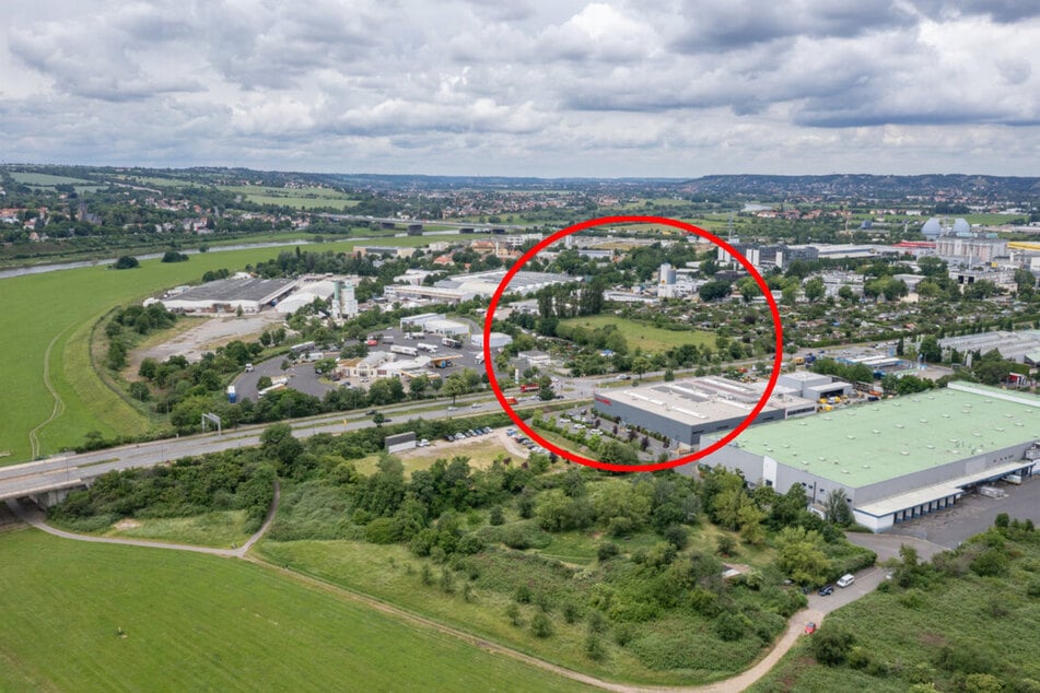 Auf dieser Fläche im Gewerbegebiet Übigau soll das Flusskraftwerk ab Mitte kommendes Jahres gebaut werden.