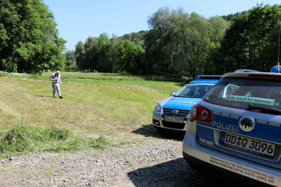 Auf dieser Wiese in Culitzsch wurde das tote Baby im Sommer 2017 gefunden.