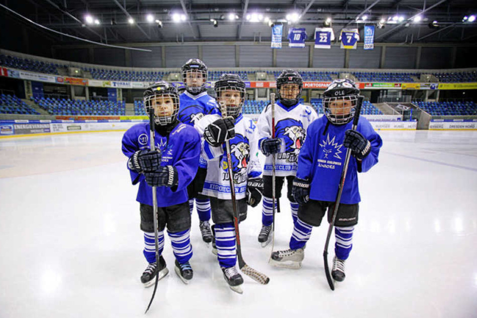 Insgesamt 50 Nachwuchs-Eislöwen besuchen die Sport-Grundschule.