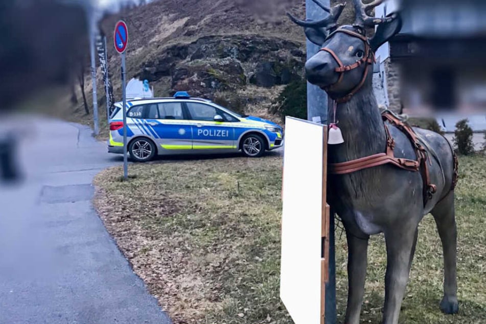 Dieser Hirsch erschreckte eine Autofahrerin in Niederbayern.